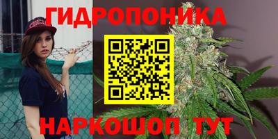 спиды Нальчик