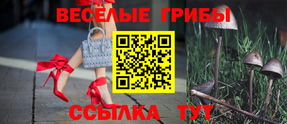 Псилоцибиновые грибы мухоморы  Вход с VPN  Черногорск  Галлюциногенные грибы мухоморы 