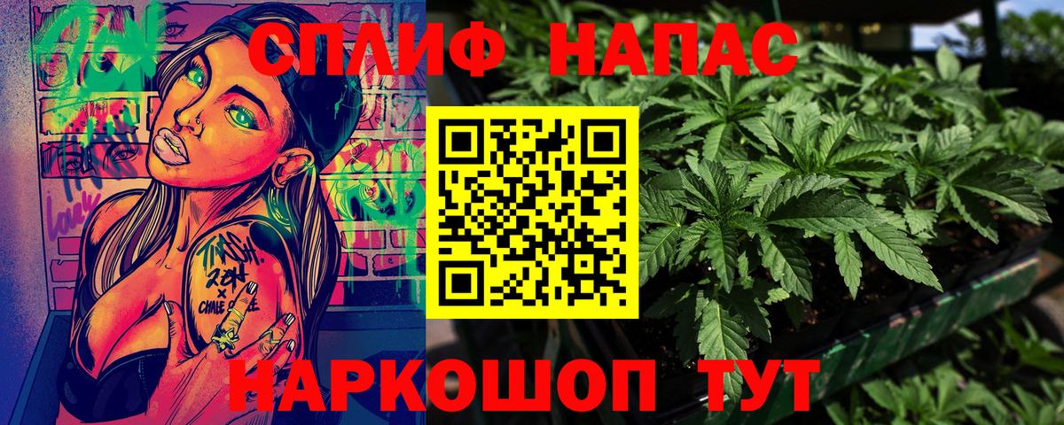 Канабис гибрид Черногорск